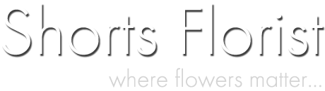 Shorts Florist