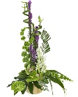 Spring Solstice